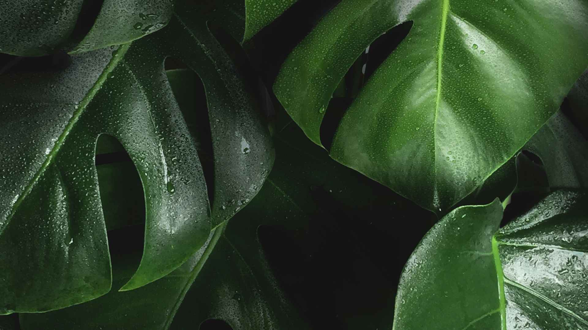 Finding Calm in a Noisy World